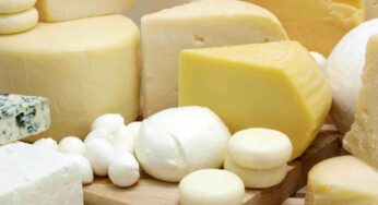 Il formaggio più sano al mondo è italiano e lo mangiano gli italiani più longevi che vivono fino a 100 anni