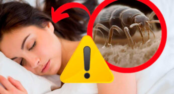 Entrano nelle orecchie di notte: sono nascosti nei cuscini, lo ignori totalmente